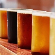 craft beers lined up on a bar